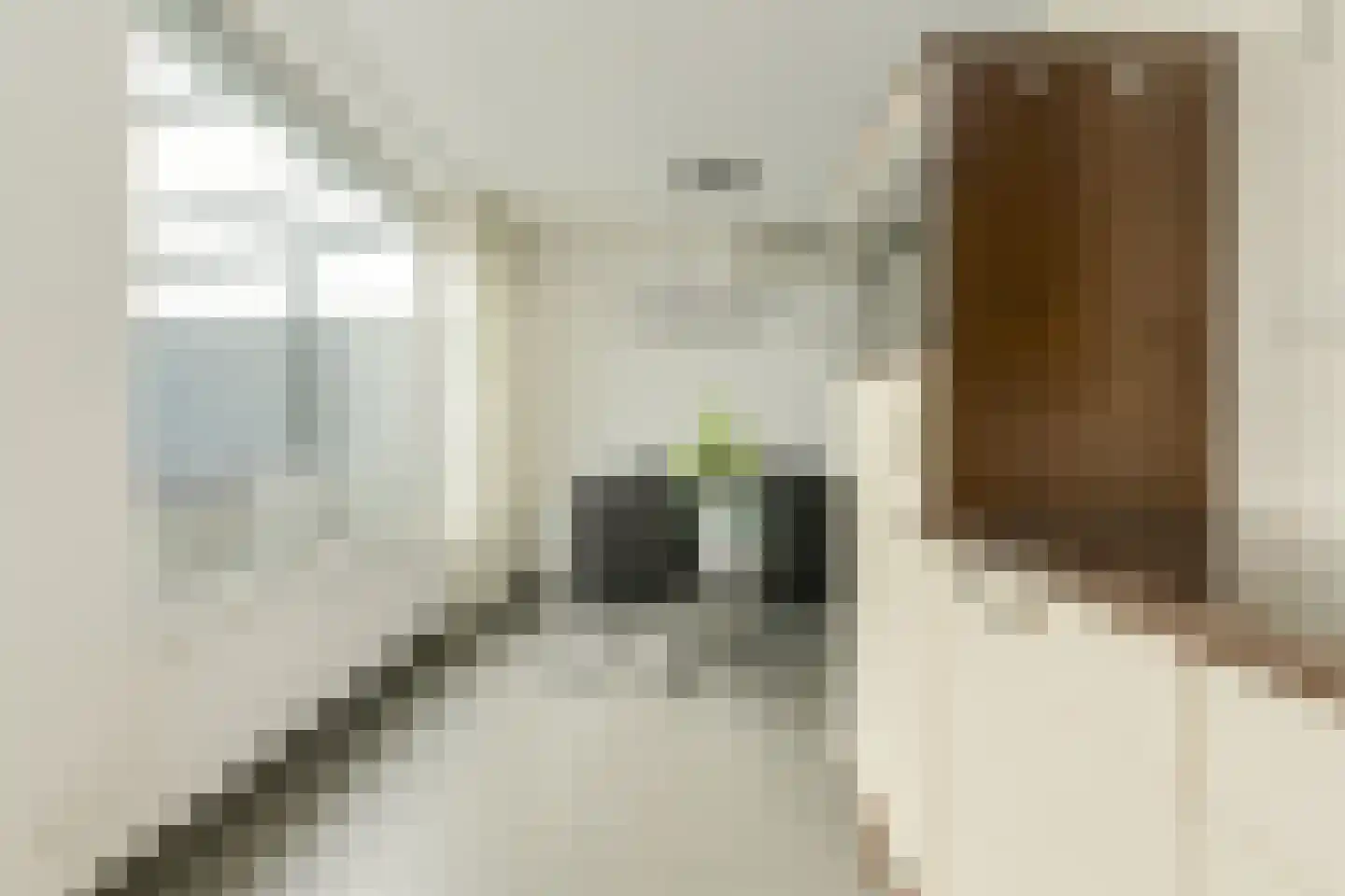 Seringenstraat 7 Oosterhout thumbnail 11
