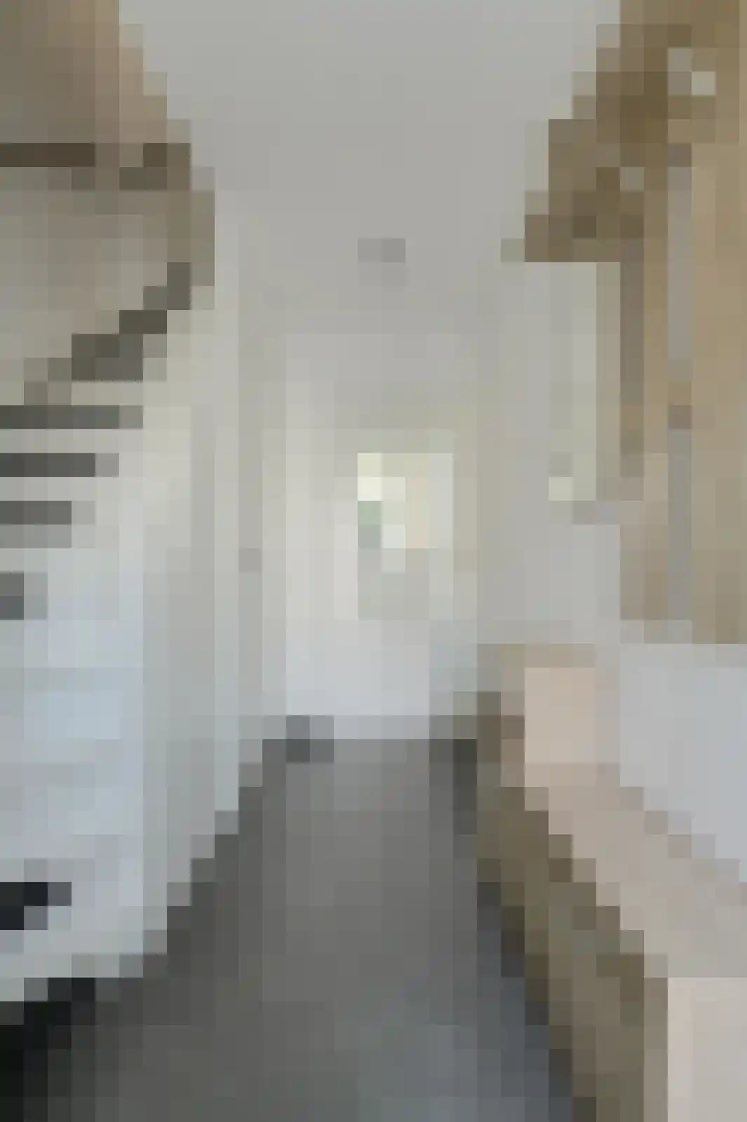 Seringenstraat 7 Oosterhout thumbnail 16