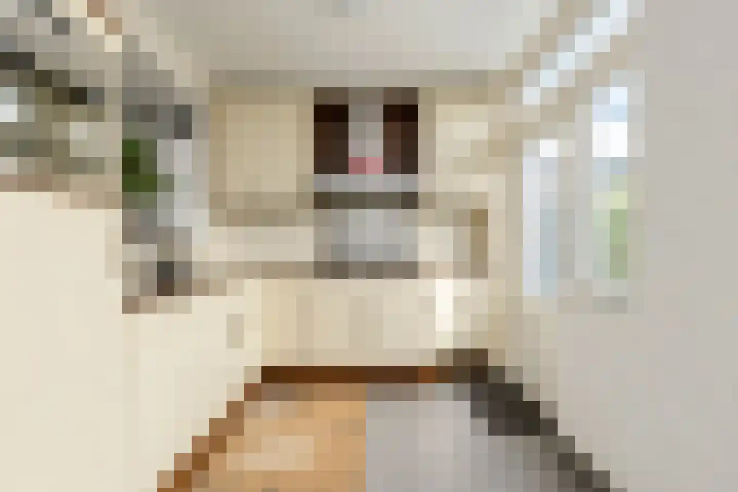 Seringenstraat 7 Oosterhout thumbnail 9