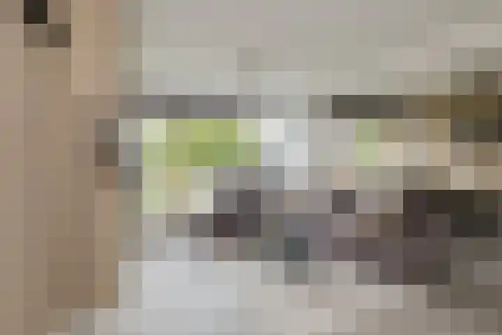 Seringenstraat 76 Alphen aan den Rijn thumbnail 4