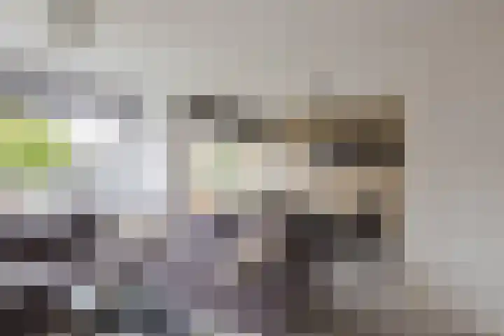 Seringenstraat 76 Alphen aan den Rijn thumbnail 6