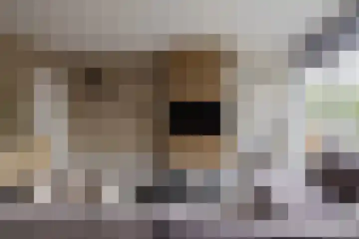 Seringenstraat 76 Alphen aan den Rijn thumbnail 7