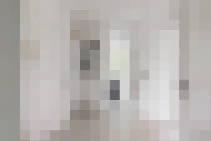 Seringenstraat 78 Alphen aan den Rijn thumbnail 14