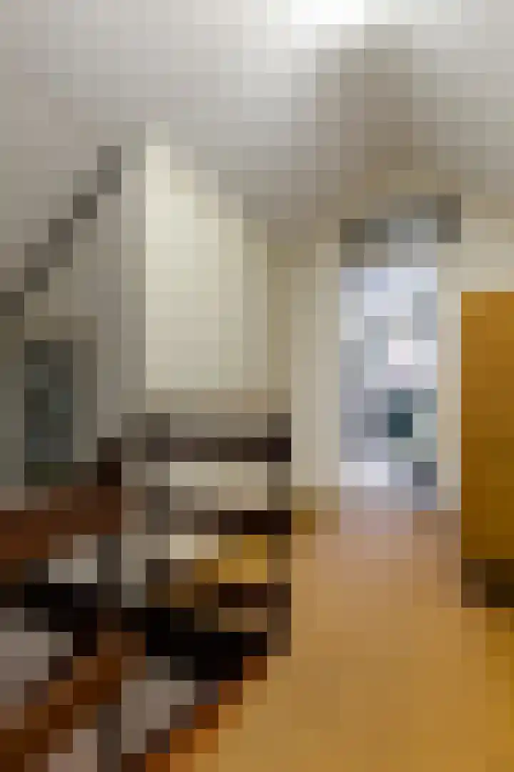 Seringenstraat 8 Eerbeek thumbnail 21