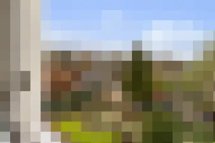 Seringenstraat 8 Eerbeek thumbnail 30