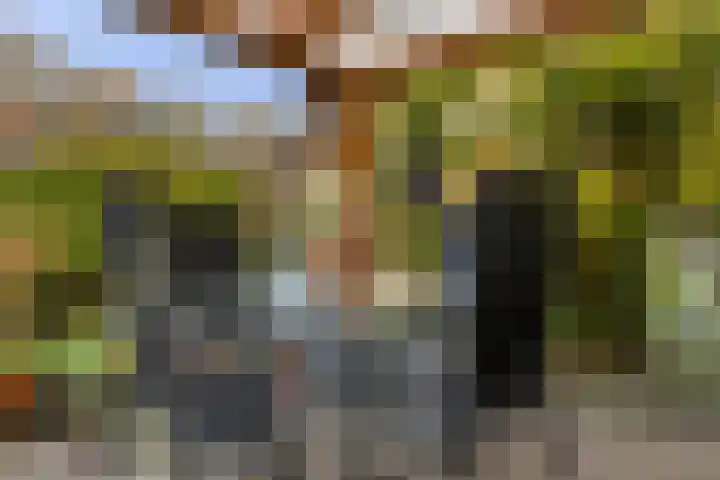 Seringenstraat 8 Eerbeek thumbnail 32
