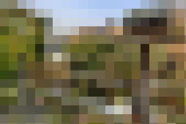 Seringenstraat 8 Eerbeek thumbnail 35