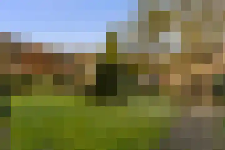 Seringenstraat 8 Eerbeek thumbnail 37
