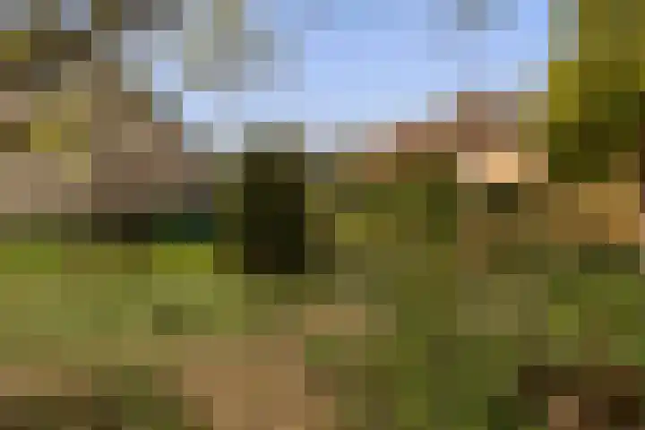 Seringenstraat 8 Eerbeek thumbnail 39