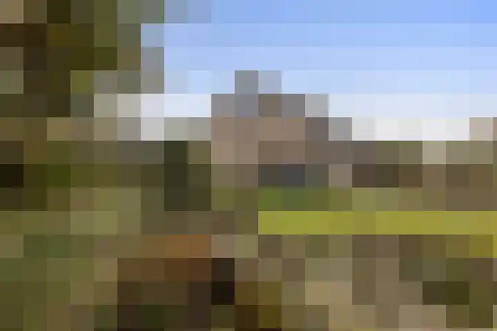 Seringenstraat 8 Eerbeek thumbnail 4