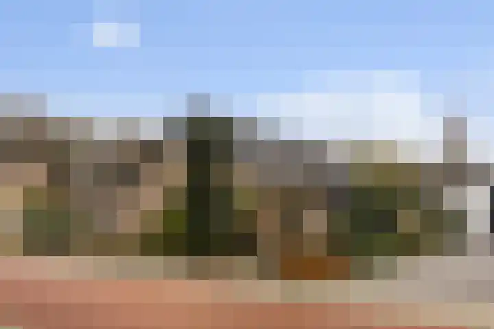 Seringenstraat 8 Eerbeek thumbnail 8