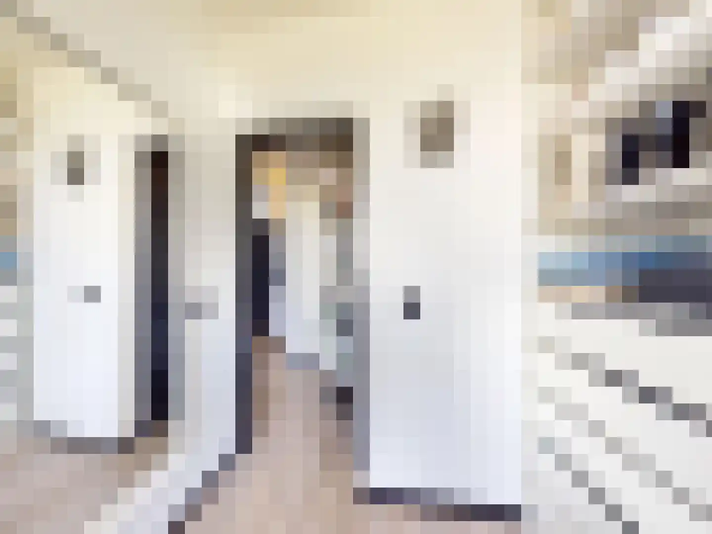 Seringenstraat 80 Alphen aan den Rijn thumbnail 18