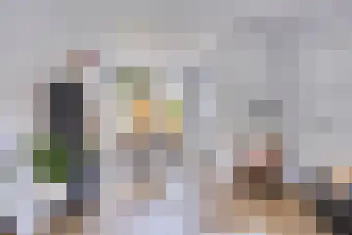 Seringenstraat 81 Zwolle thumbnail 11