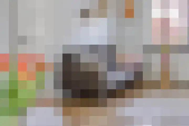 Seringenstraat 81 Zwolle thumbnail 18