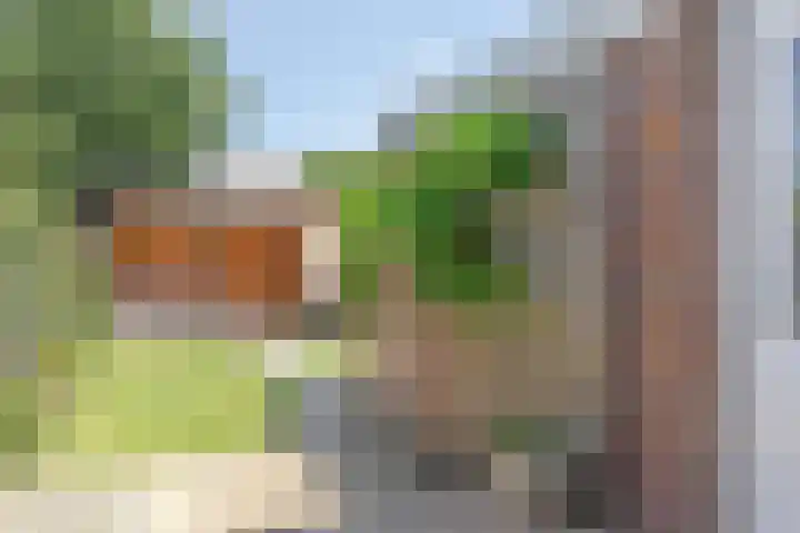 Seringenstraat 81 Zwolle thumbnail 33