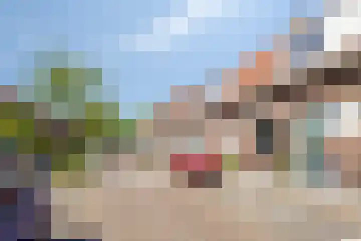 Seringenstraat 81 Zwolle thumbnail 4