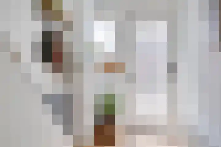 Seringenstraat 81 Zwolle thumbnail 6