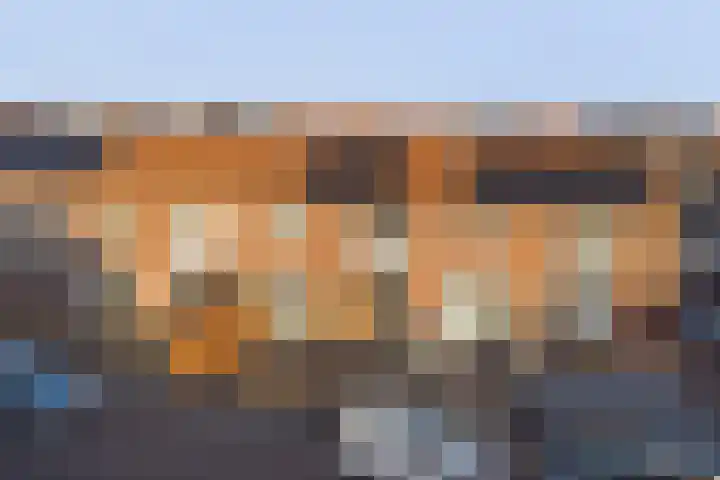 Seringenstraat 9 Winterswijk thumbnail 33