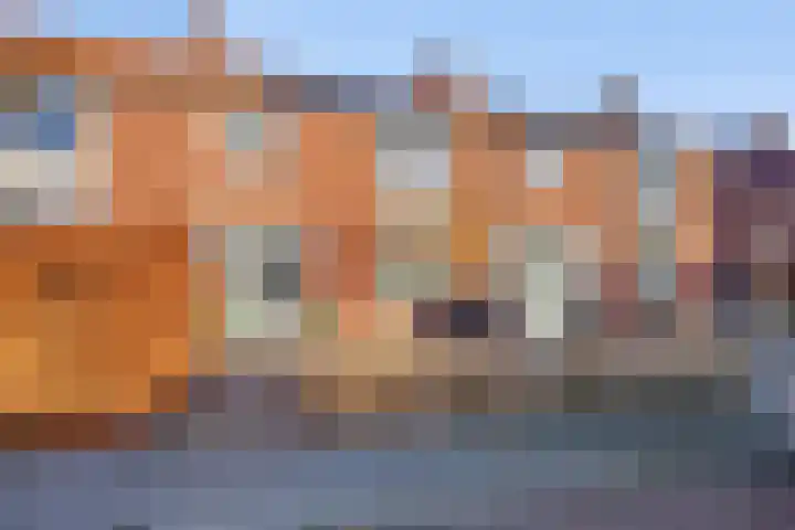 Seringenstraat 9 Winterswijk thumbnail 6