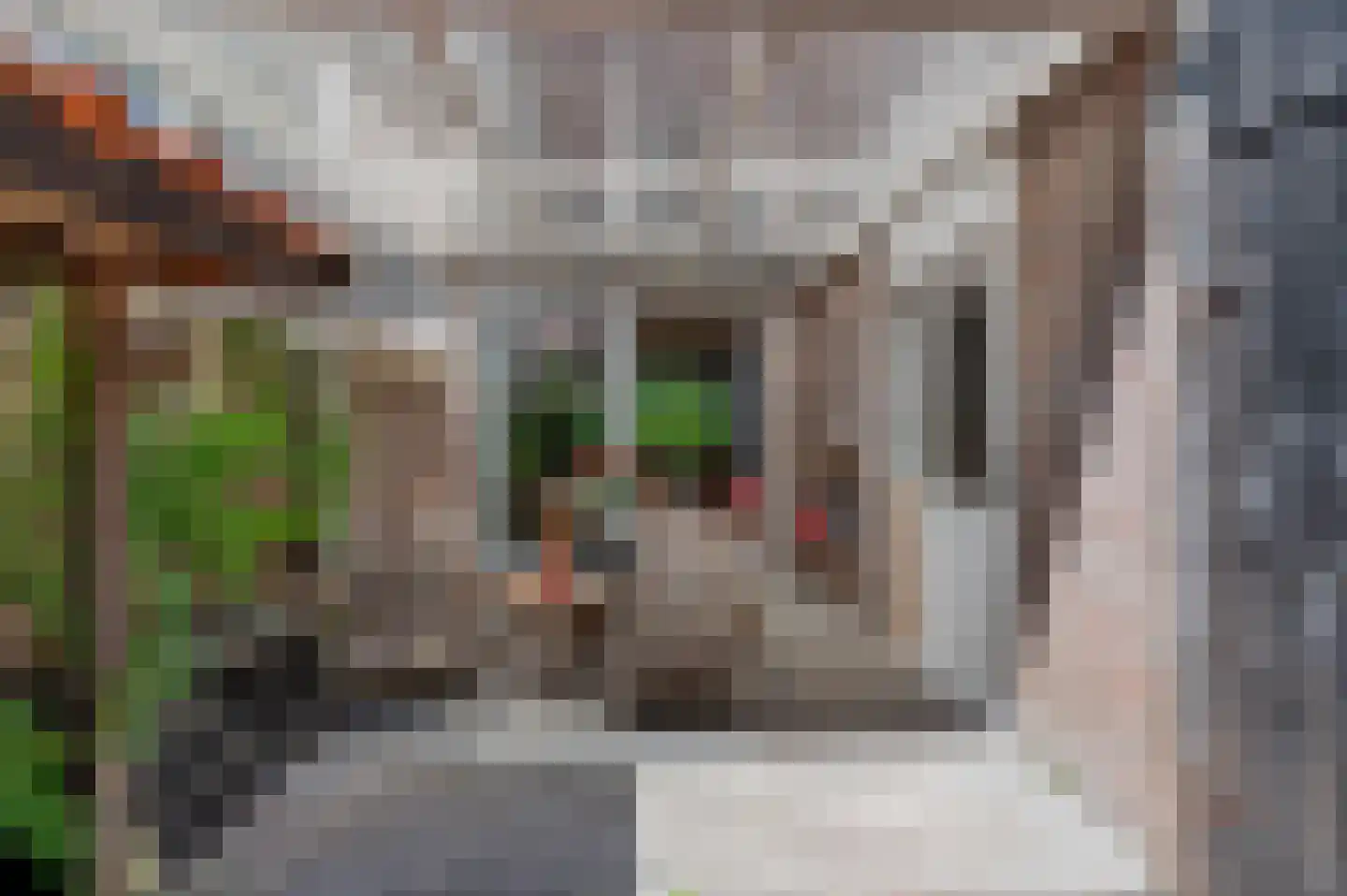 Seringenweg 20 Haren Gn thumbnail 37