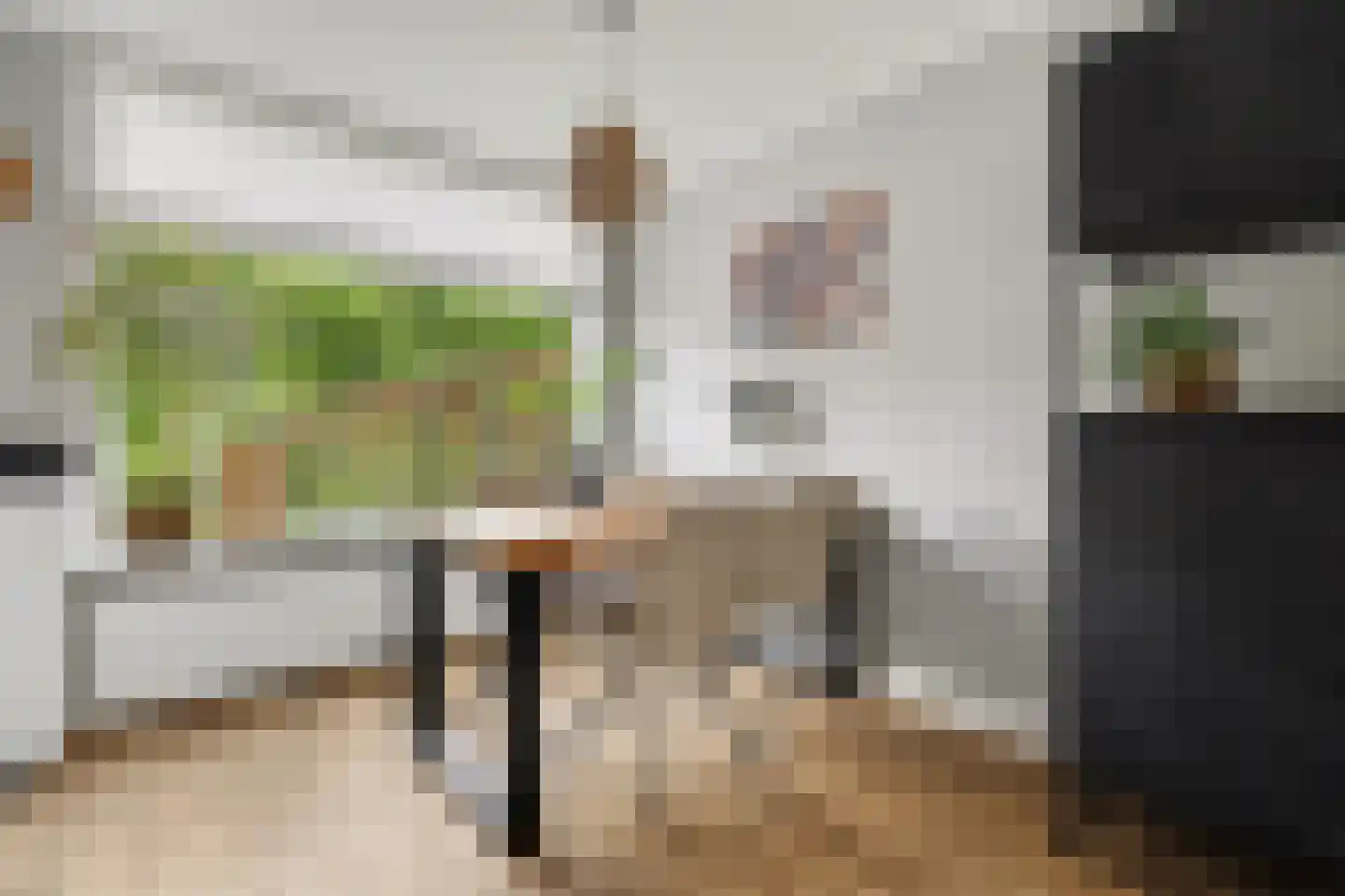 Seringestraat 11 's-Gravenpolder thumbnail 11