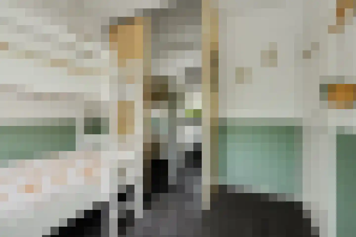 Seringestraat 11 's-Gravenpolder thumbnail 22