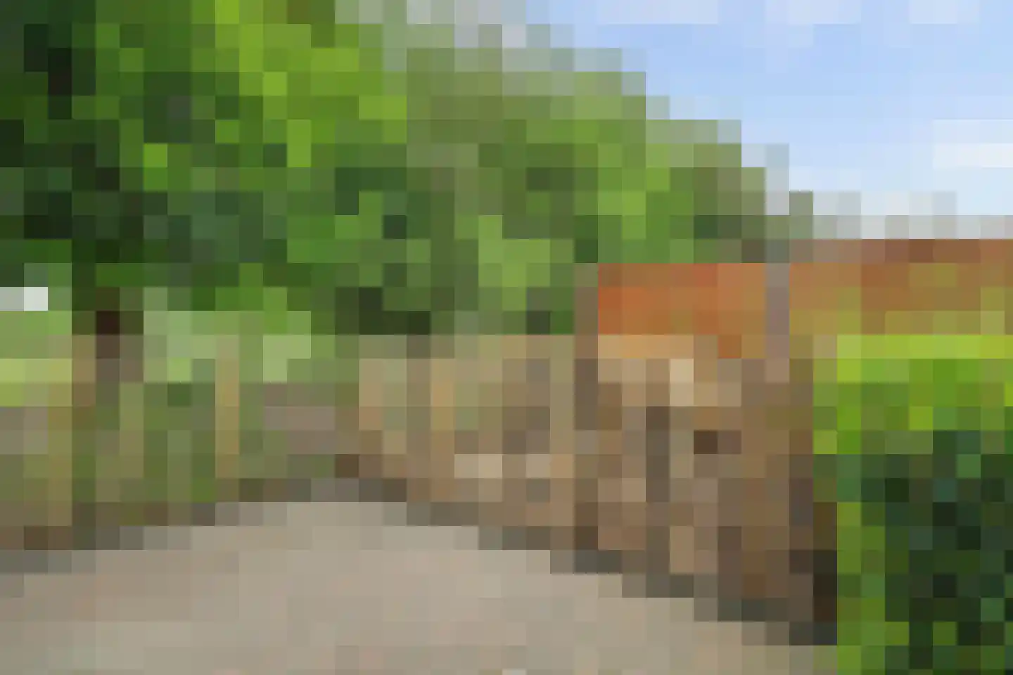 Seringestraat 11 's-Gravenpolder thumbnail 34