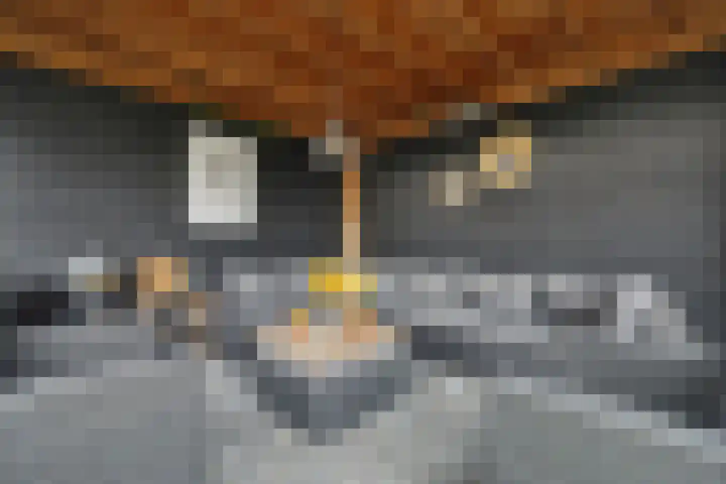 Seringestraat 11 's-Gravenpolder thumbnail 35
