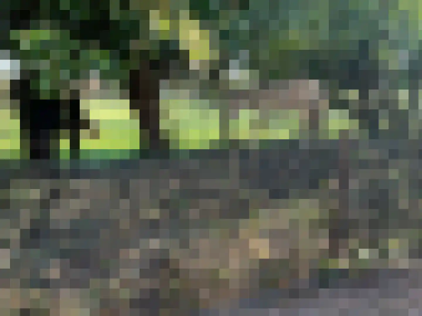 Seringestraat 11 's-Gravenpolder thumbnail 37