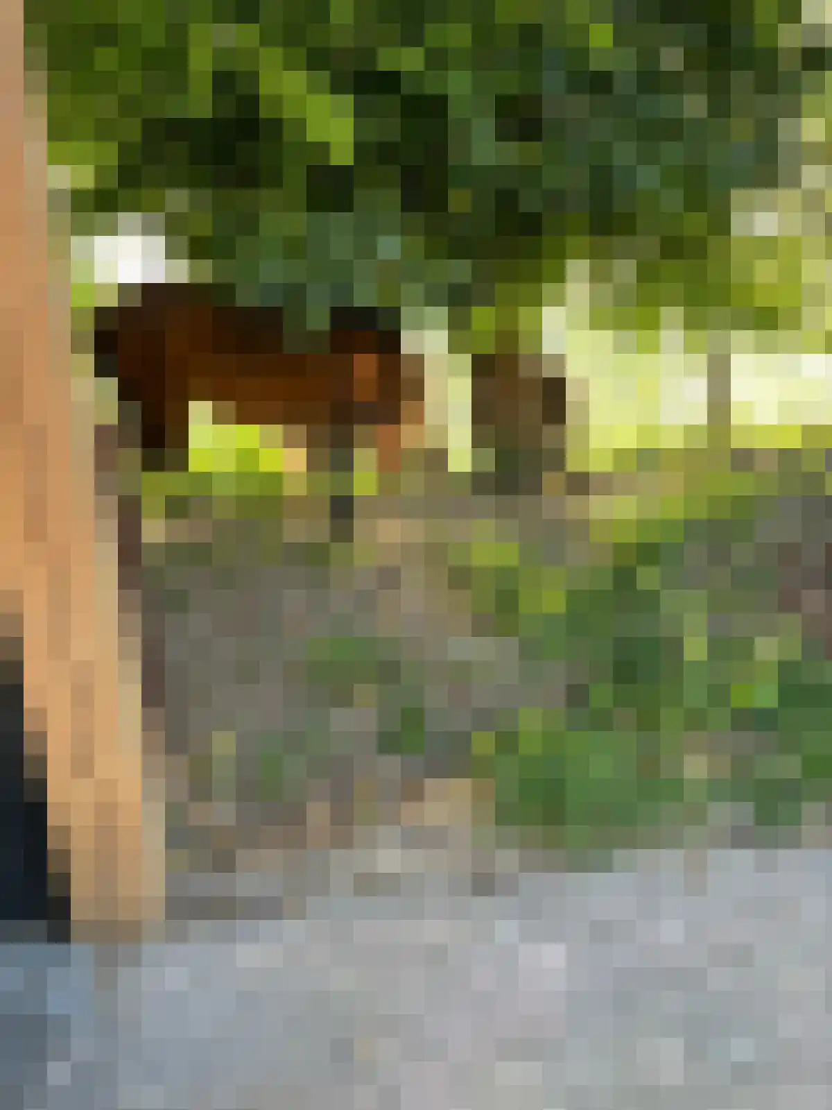 Seringestraat 11 's-Gravenpolder thumbnail 38