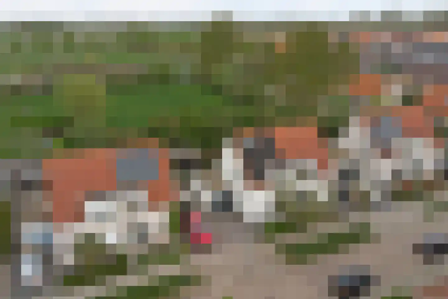 Seringestraat 11 's-Gravenpolder thumbnail 39