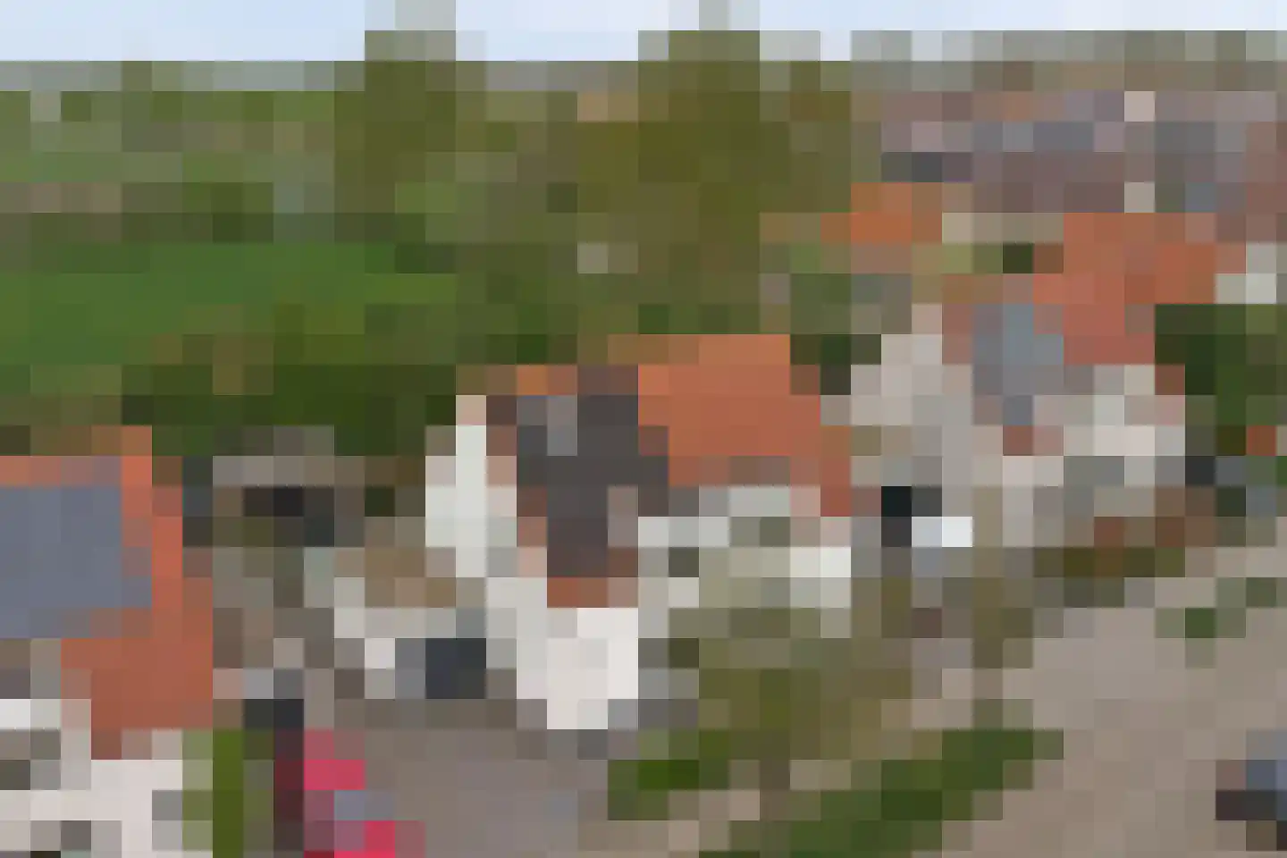 Seringestraat 11 's-Gravenpolder thumbnail 4