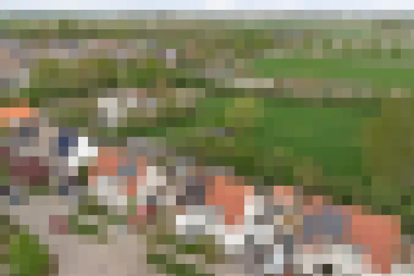 Seringestraat 11 's-Gravenpolder thumbnail 40
