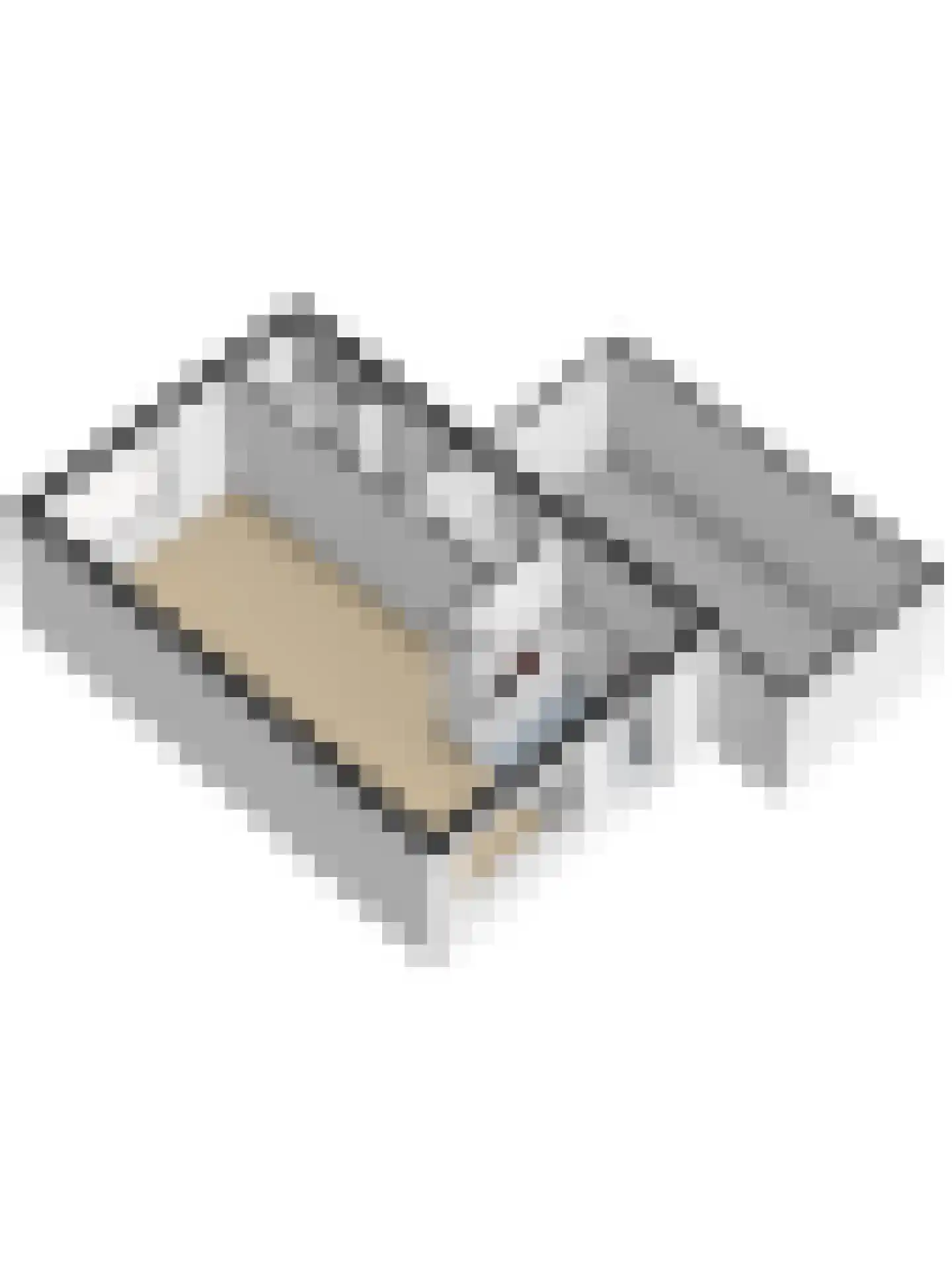 Seringestraat 11 's-Gravenpolder thumbnail 47