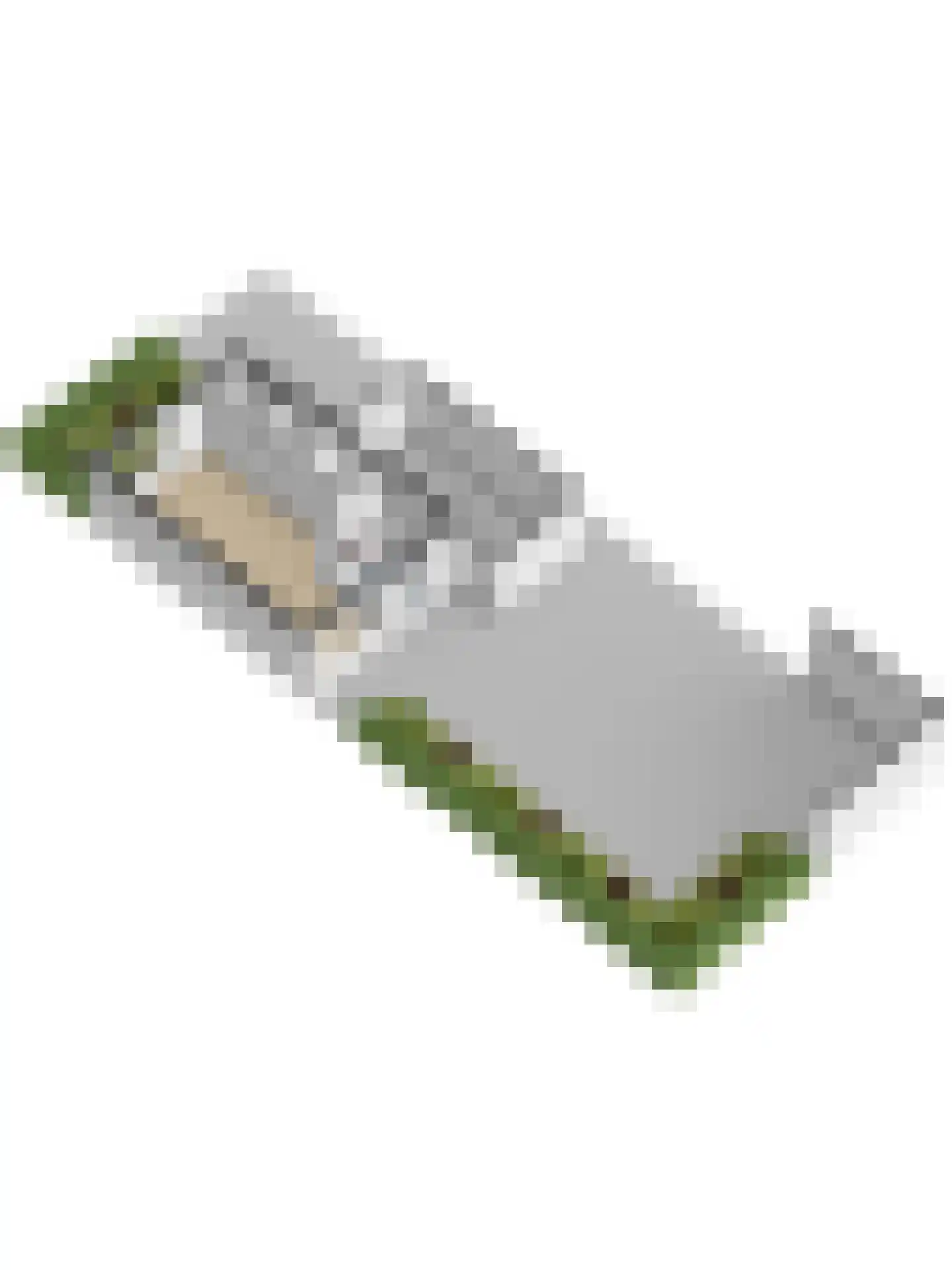 Seringestraat 11 's-Gravenpolder thumbnail 48