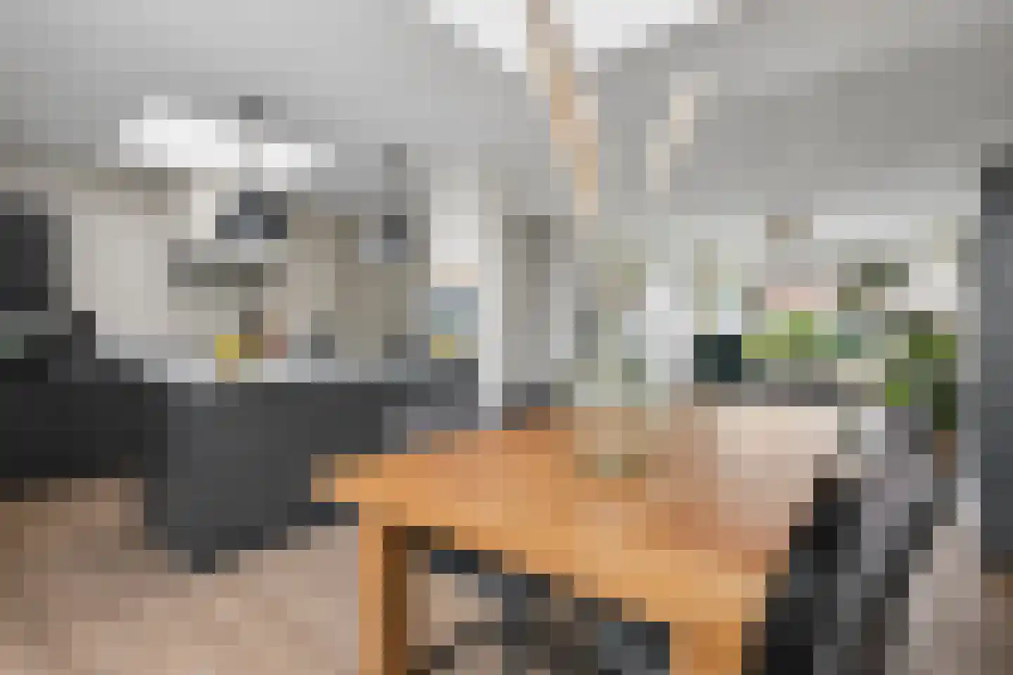 Seringplantsoen 12 Rhenen thumbnail 14