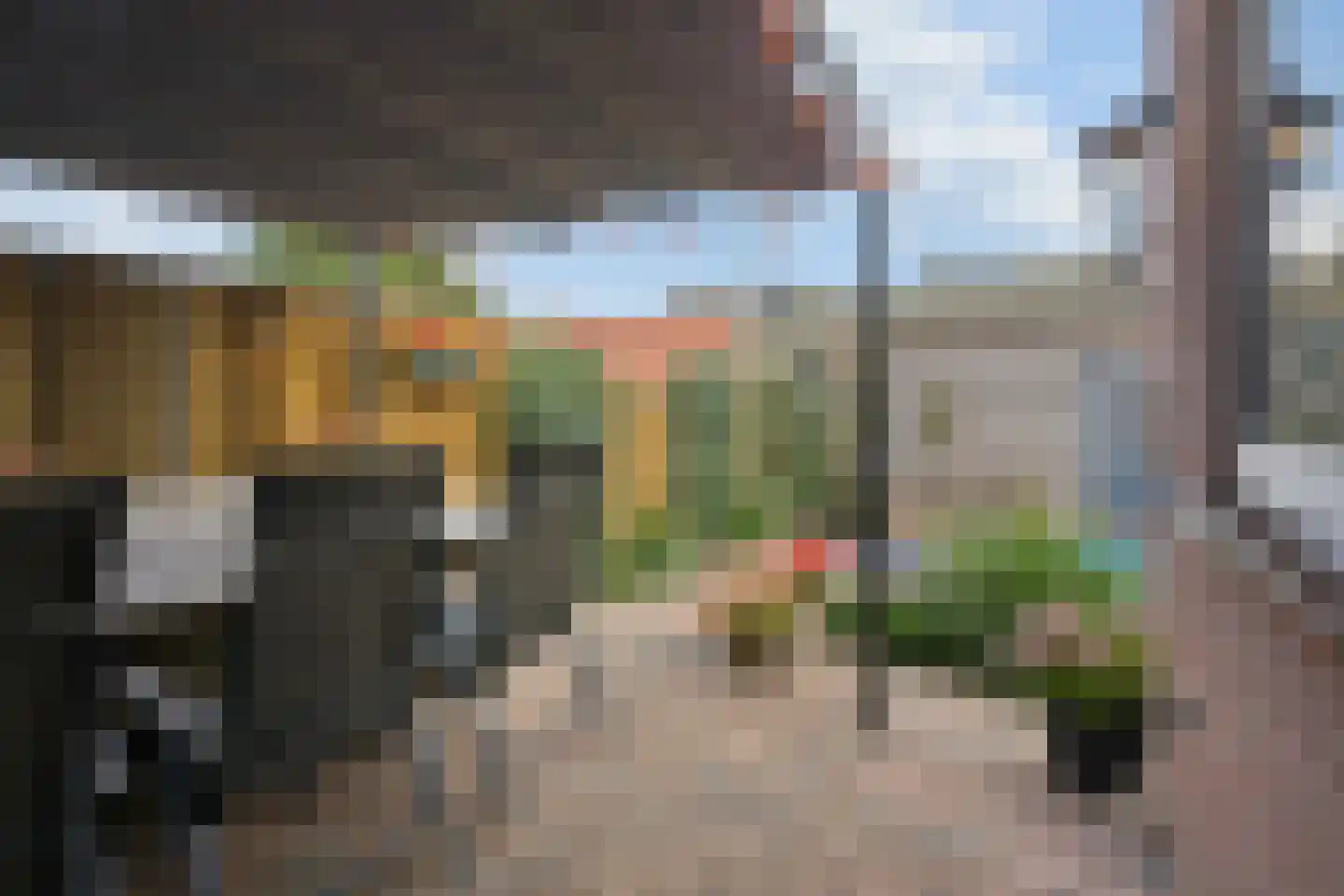 Seringplantsoen 12 Rhenen thumbnail 23