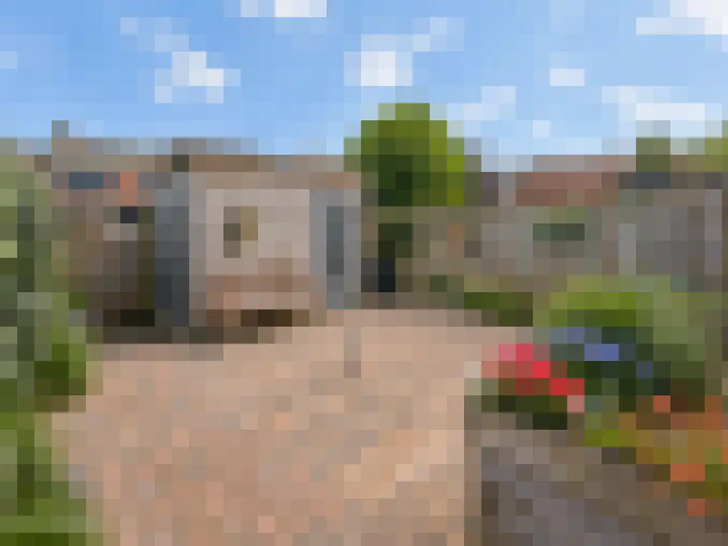 Seringplantsoen 12 Rhenen thumbnail 25