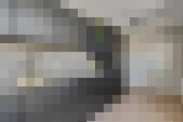 Seringplantsoen 20 Rhenen thumbnail 14