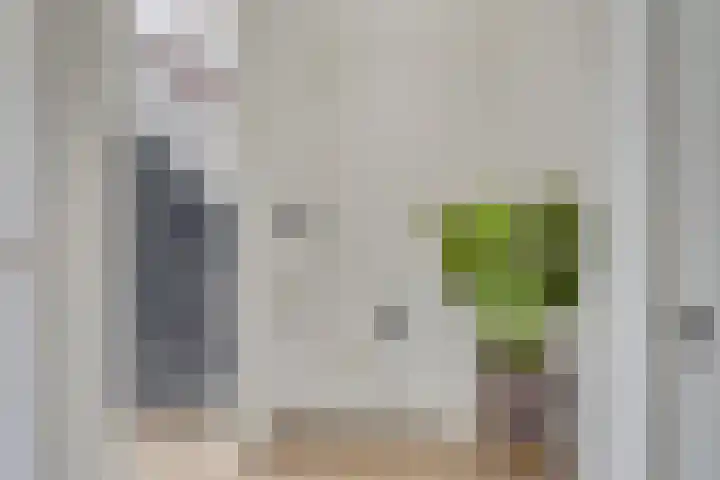 Seringplantsoen 20 Rhenen thumbnail 16