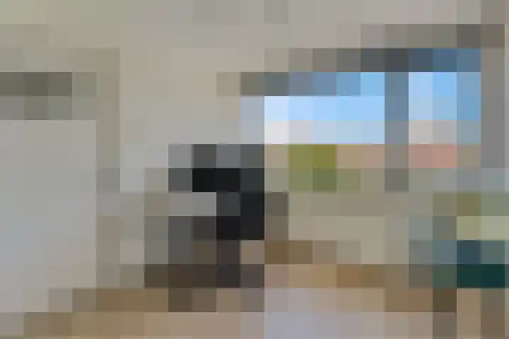 Seringplantsoen 20 Rhenen thumbnail 17