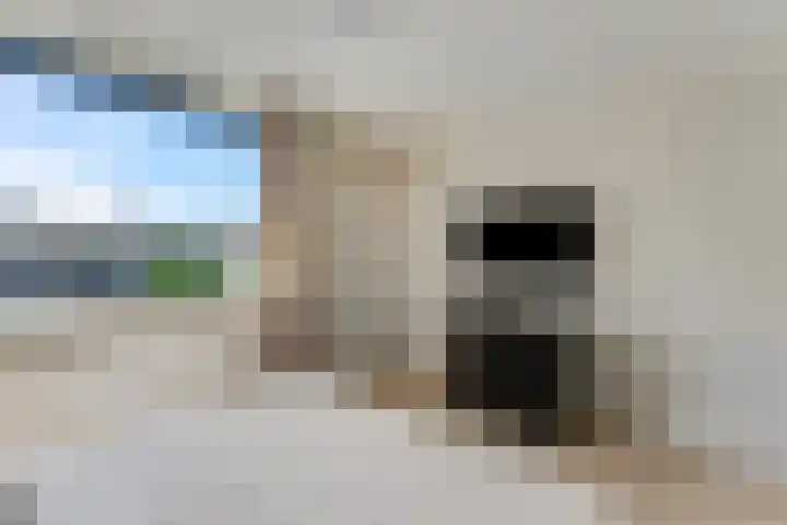 Seringplantsoen 20 Rhenen thumbnail 18