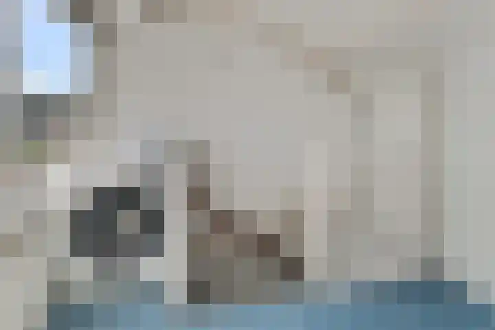 Seringplantsoen 20 Rhenen thumbnail 23