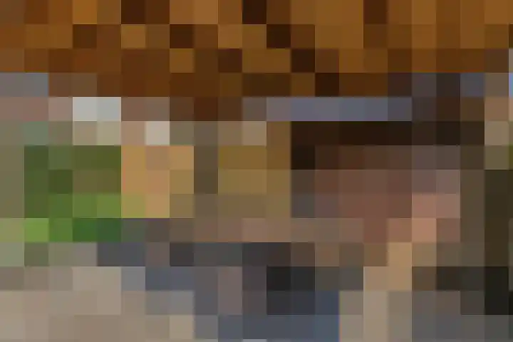 Seringplantsoen 20 Rhenen thumbnail 30