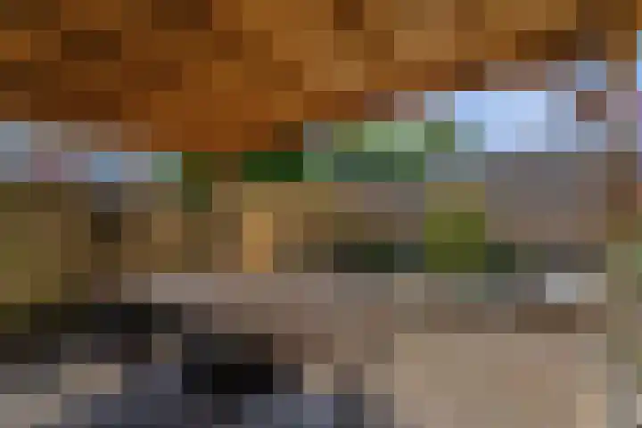 Seringplantsoen 20 Rhenen thumbnail 31