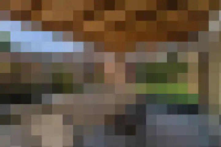 Seringplantsoen 20 Rhenen thumbnail 32