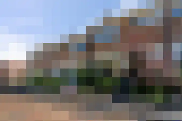 Seringplantsoen 20 Rhenen thumbnail 33