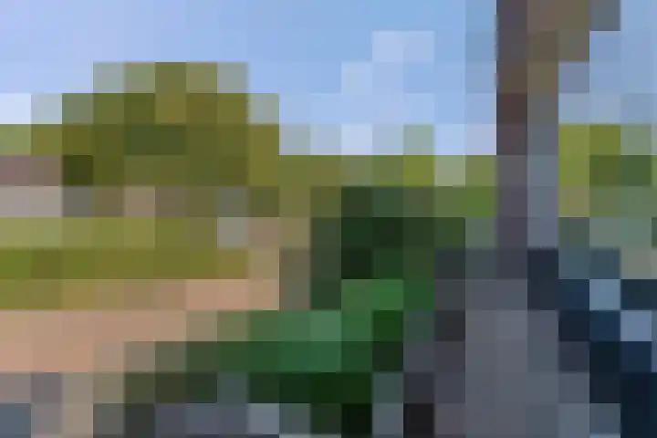 Seringplantsoen 20 Rhenen thumbnail 34