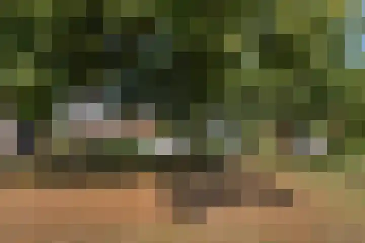 Seringplantsoen 20 Rhenen thumbnail 36