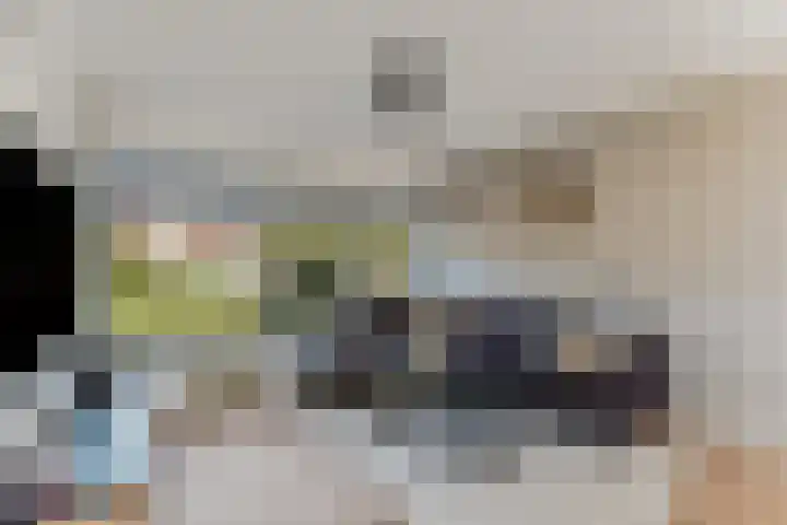 Seringplantsoen 20 Rhenen thumbnail 6